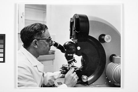 Photographer unknown, Saul Wiener at the Commonwealth Serum Laboratories, c. 1952; photograph; 24.5× 30.5cm. Saul Wiener Collection, Medical History Museum, MHM02013. 