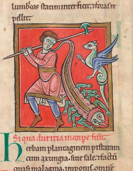 Man with a serpent and a scorpion, Medical and herbal compendia, including Pseudo-Apueleius’s herbal, late twelfth century. British Library Sloane MS 1975 f. 13r 