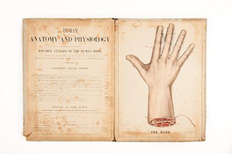 Gustave Joseph Witkowski France (1844–1923) Anatomie iconoclastique Pt. 9 A movable atlas showing the bones & muscles of the hand. The hand. Translated by James Cantlie. Bailliere, Tindall and Cox, London 1878–1888 book Special Collections Baillieu Library 